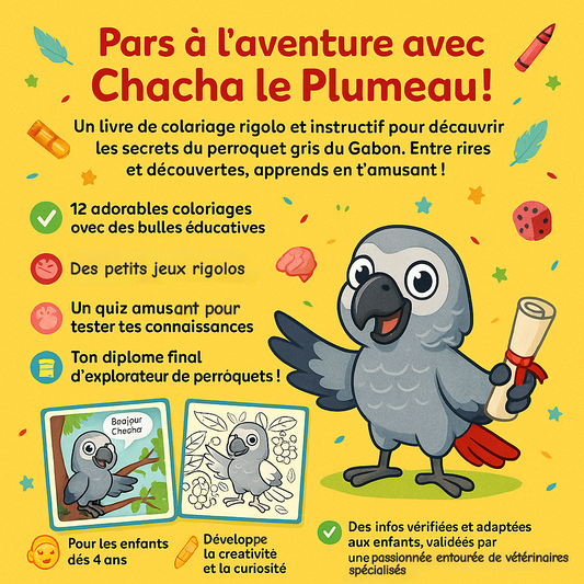 Colorie et apprends avec Chacha le plumeau